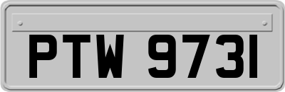 PTW9731