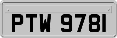 PTW9781