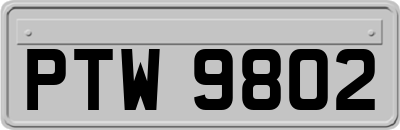 PTW9802