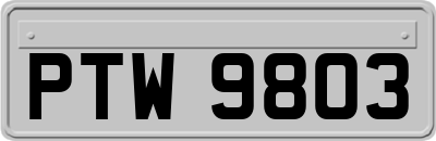 PTW9803