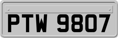 PTW9807