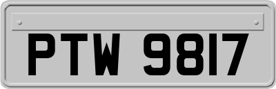 PTW9817