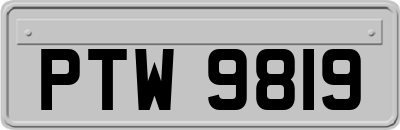 PTW9819