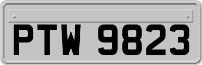 PTW9823