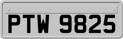 PTW9825