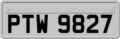 PTW9827