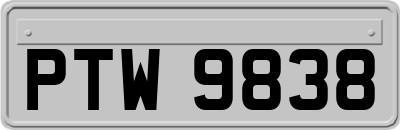 PTW9838