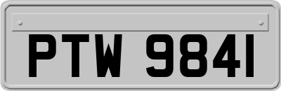 PTW9841