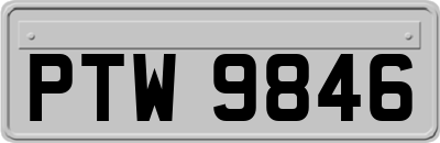 PTW9846