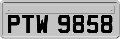 PTW9858