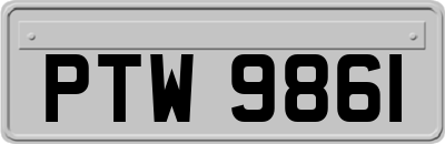 PTW9861