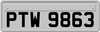 PTW9863