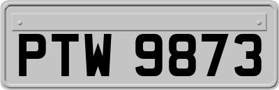 PTW9873