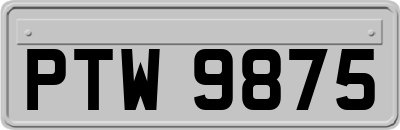 PTW9875