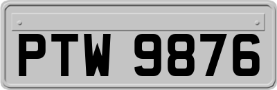 PTW9876