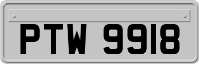 PTW9918