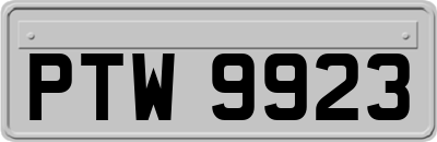 PTW9923