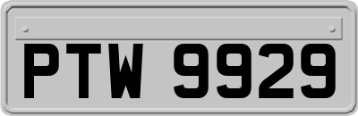 PTW9929