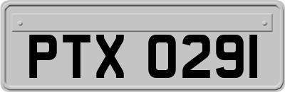 PTX0291