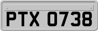 PTX0738