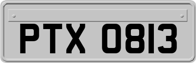 PTX0813