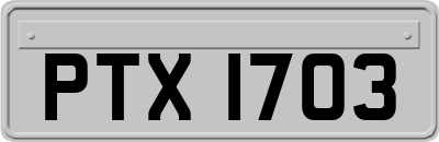 PTX1703