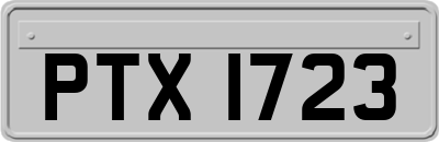 PTX1723