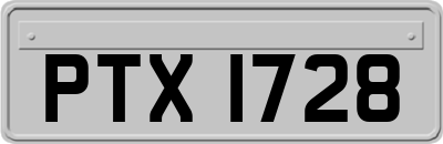 PTX1728