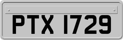 PTX1729