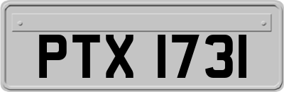 PTX1731