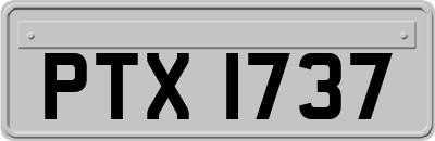 PTX1737