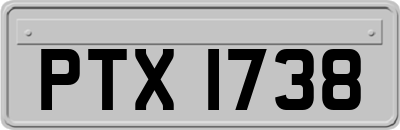 PTX1738