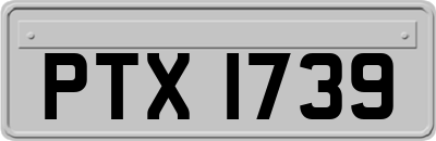 PTX1739