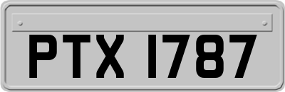 PTX1787