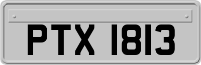 PTX1813