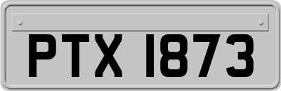 PTX1873