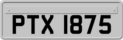 PTX1875