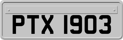 PTX1903