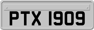 PTX1909