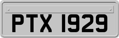 PTX1929