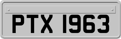 PTX1963