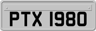 PTX1980