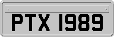 PTX1989