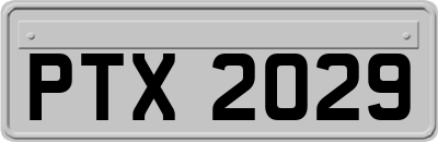 PTX2029