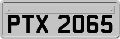 PTX2065