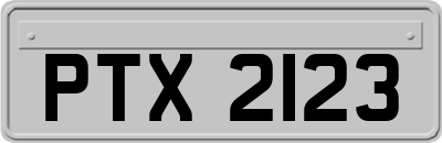 PTX2123