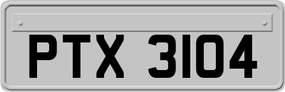 PTX3104