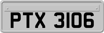 PTX3106