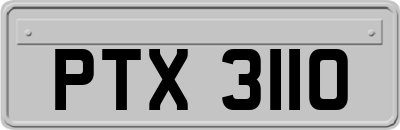 PTX3110