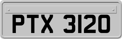 PTX3120